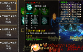 手游传奇里面的红名玩家都有哪些玩家？